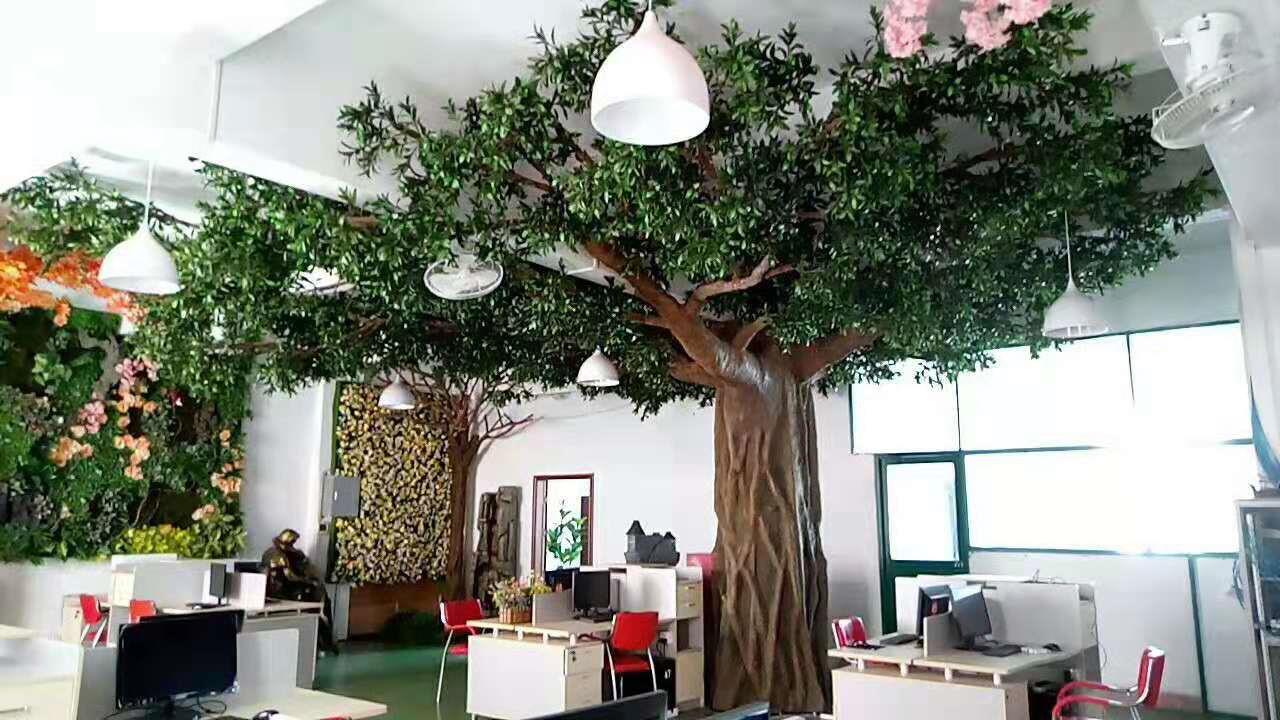 column covering ficus tree